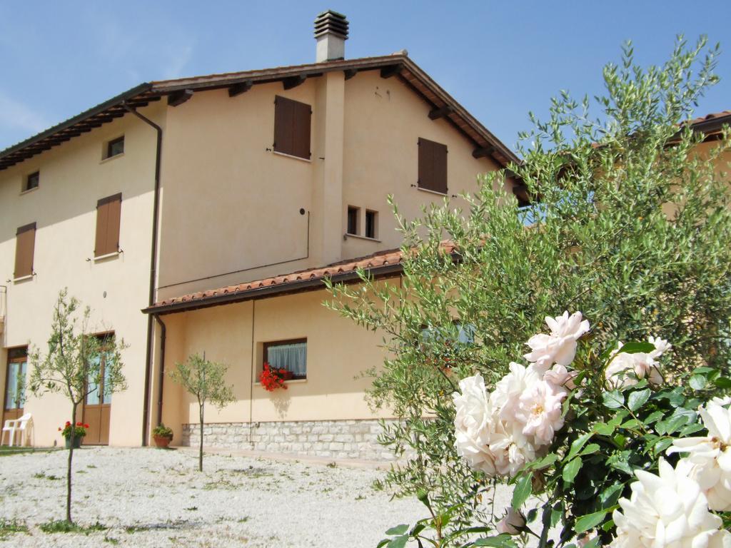Agriturismo Casella Del Piano Filey Ngoại thất bức ảnh